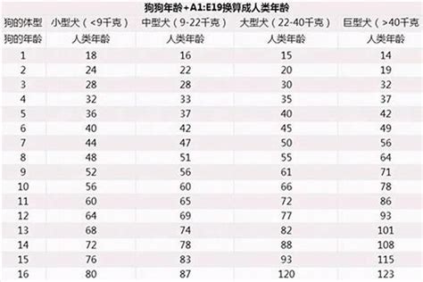 属狗的今年几岁|2024属狗的年龄表 属狗年龄查询表2024年